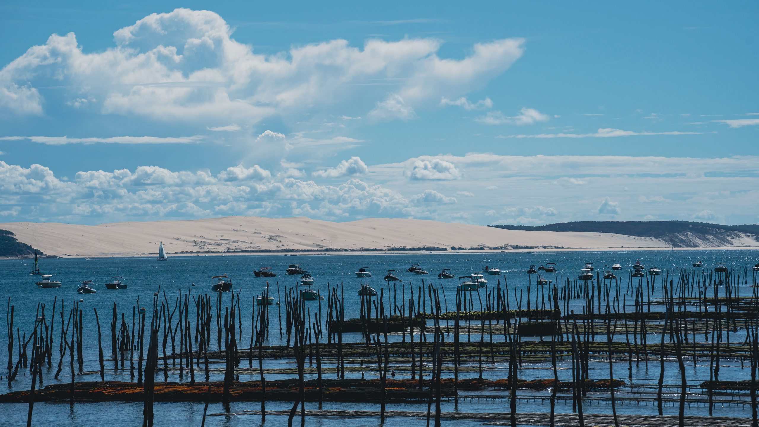 Parcs à huîtres du bassin d’Arcachon, la dune du Pilat en arrière-plan