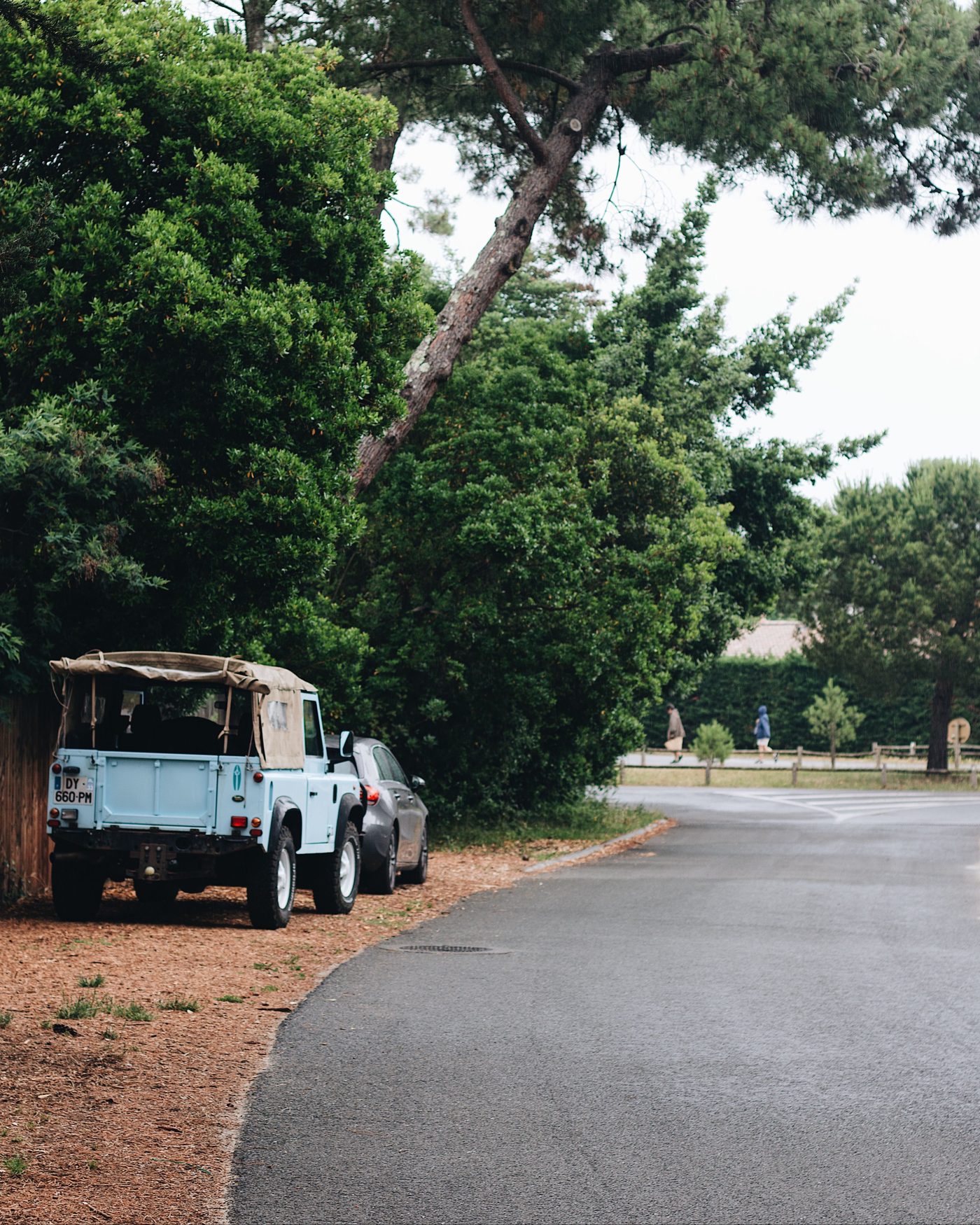 Route bordée de pins sur la presqu’île du Cap Ferret